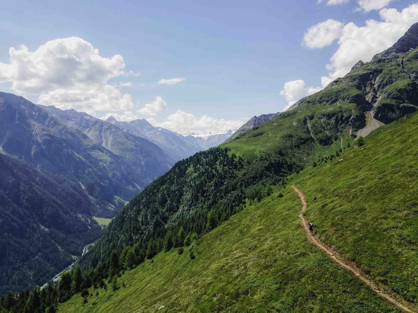 Trailrunner auf einem Bergpfad in alpiner Landschaft